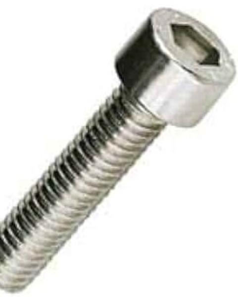 Screw