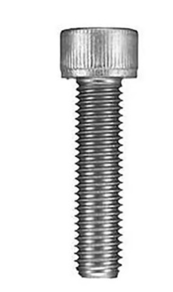 Screw