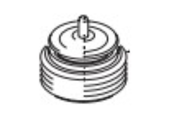 Plug Screw