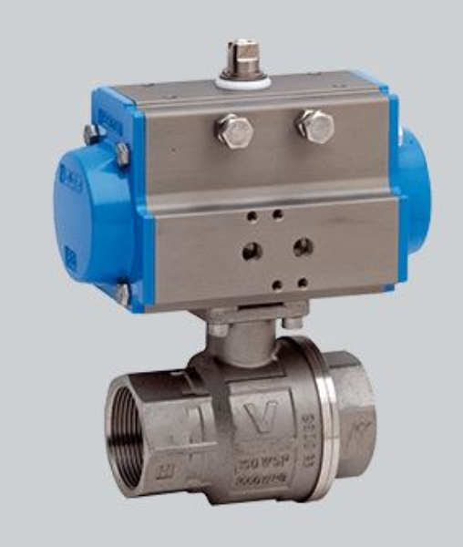 Ball Valve, 1/2in S.S.