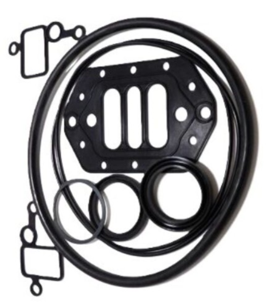 Kit, Seals, Motor 6.0