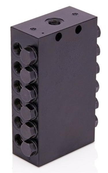 CSP VALVE, 12 OUTLET, NPT, PKG