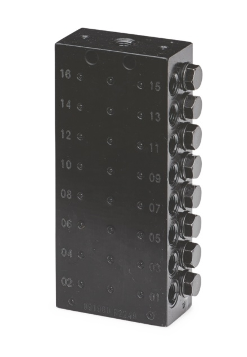GG 24Z491.jpg