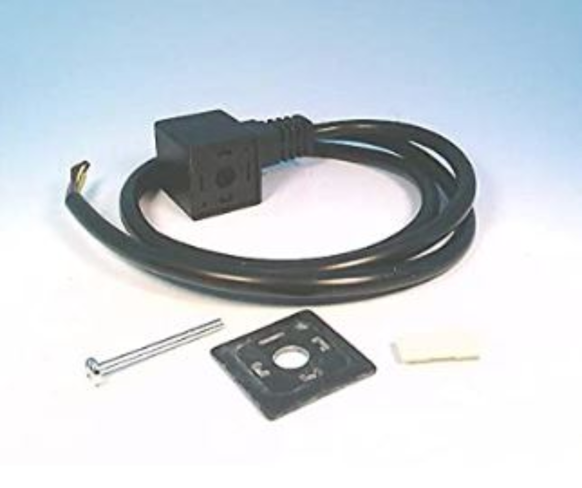 AA CHW-30.jpg